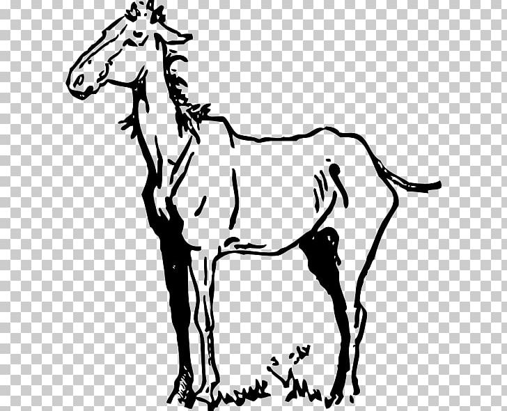 Pony American Quarter Horse Equestrian PNG, Clipart, Black, Collection, Fauna, Fictional Character, Horse Free PNG Download
