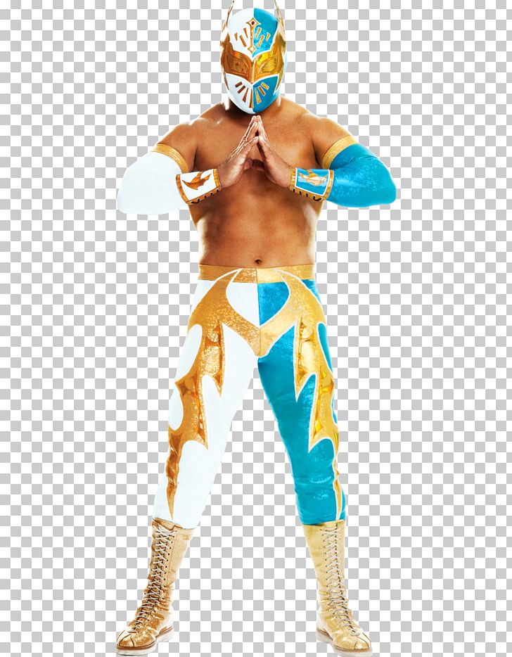 Professional Wrestler Lucha Libre WWE Professional Wrestling The Lucha Dragons PNG, Clipart, Aj Lee, Cara, Costume, Daniel Bryan, Fictional Character Free PNG Download