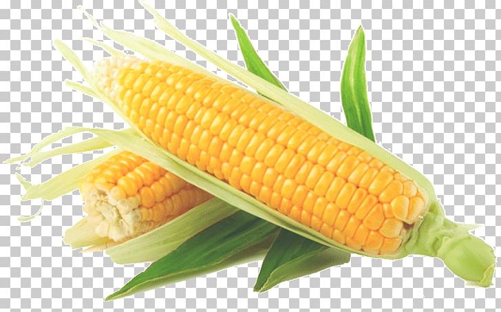 Corn On The Cob Sweet Corn Vegetable Maize Corn Kernel PNG, Clipart, Baby Corn, Candy Corn, Commodity, Corn, Corn Kernel Free PNG Download