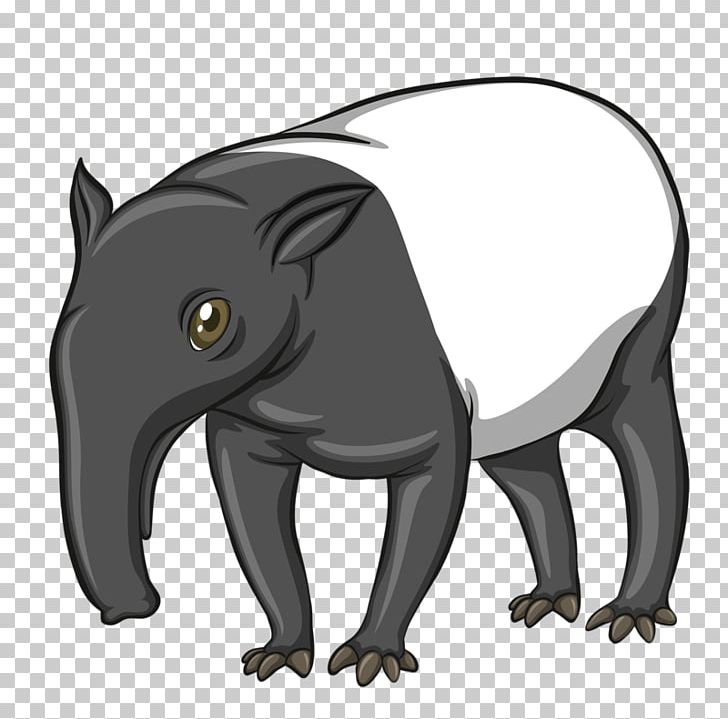 Malayan Tapir PNG, Clipart, Animals, Baby, Baby Clothes, Black, Black And White Free PNG Download