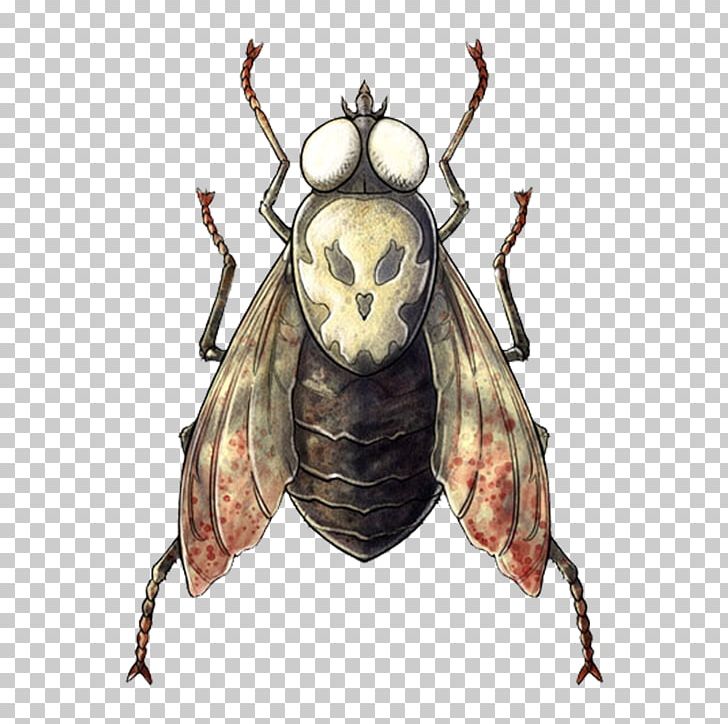 Scarabs True Bugs Beetle Pollinator PNG, Clipart, Arthropod, Beetle, Fantasy Goddess, Fly, Insect Free PNG Download