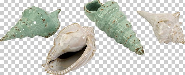Seashell Glass Collection Metal PNG, Clipart, Animals, Artifact, Body Jewelry, Bottle, Bowl Free PNG Download