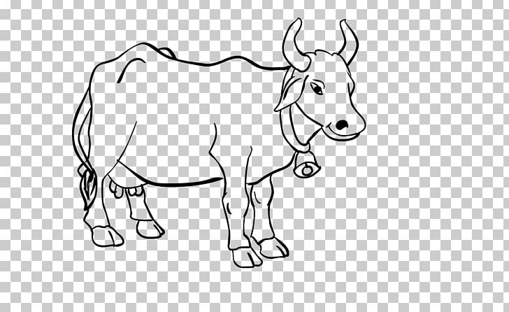 Cattle Line Art Drawing Cartoon PNG, Clipart, Animals, Cowboy, Cow Goat Family, Fictional Character, Head Free PNG Download