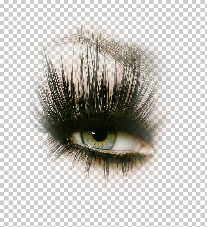 Eyelash Extensions Cosmetics Photography PNG, Clipart, Beauty, Capelli, Closeup, Cosmetics, Eye Free PNG Download