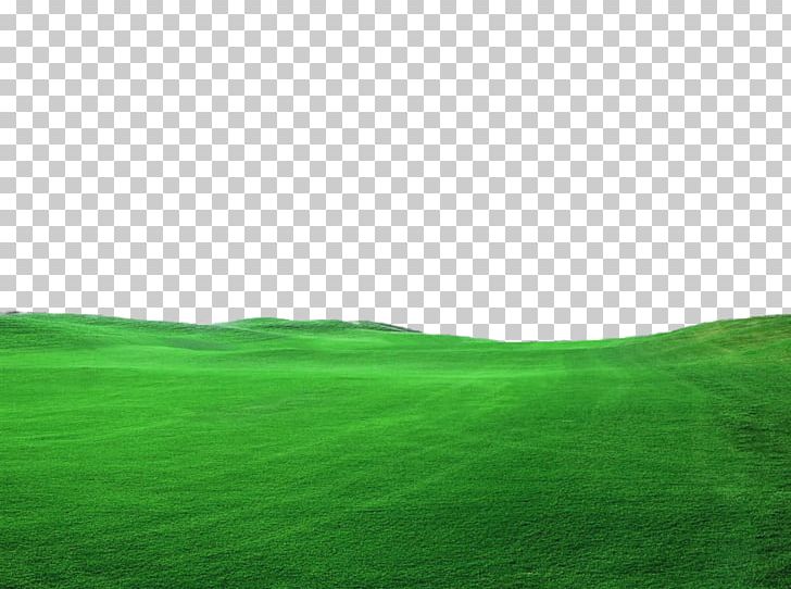 Lawn Green Grassland Landscape PNG, Clipart, Borders, Border Texture, Computer, Computer Wallpaper, Decoration Free PNG Download