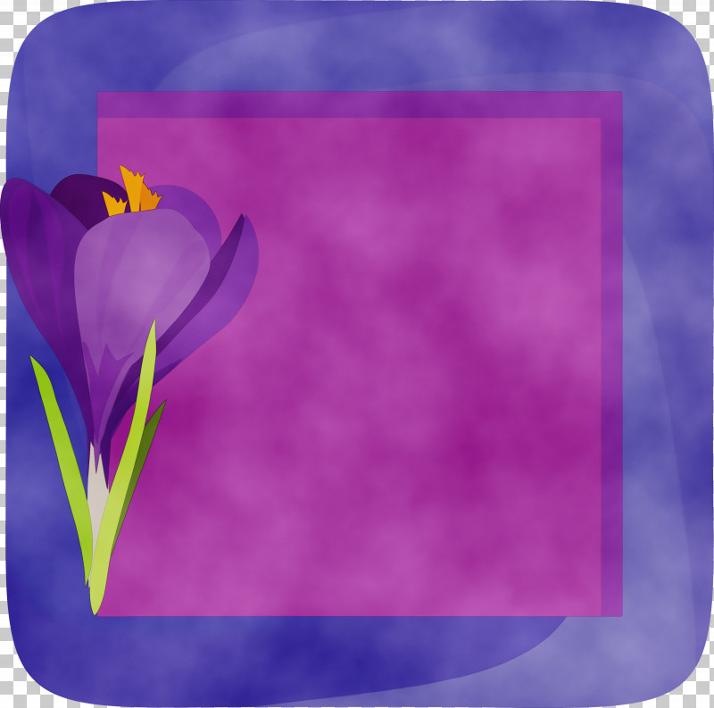 Lavender PNG, Clipart, Biology, Crocus, Flower, Flower Frame, Flower Photo Frame Free PNG Download