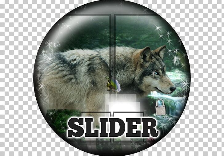 Gray Wolf Puppy Fauna Interviú Snout PNG, Clipart, Amazon Rainforest, Fauna, Gray Wolf, Puppy, Snout Free PNG Download