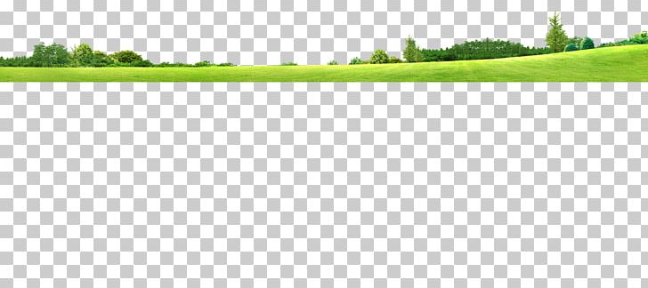 Lawn Brand Pattern PNG, Clipart, Angle, Background Green, Brand, Environmental, Environmental Protection Free PNG Download