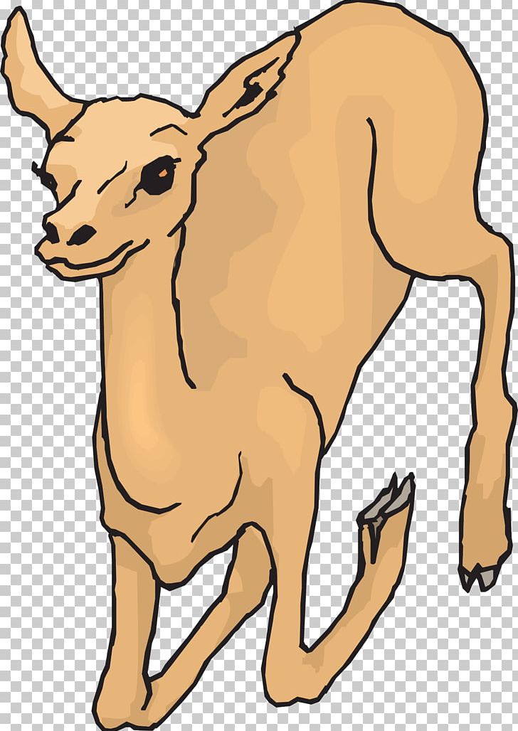 Roe Deer Red Deer White-tailed Deer PNG, Clipart, Animal Figure, Animals, Artwork, Cattle Like Mammal, Coloring Book Free PNG Download