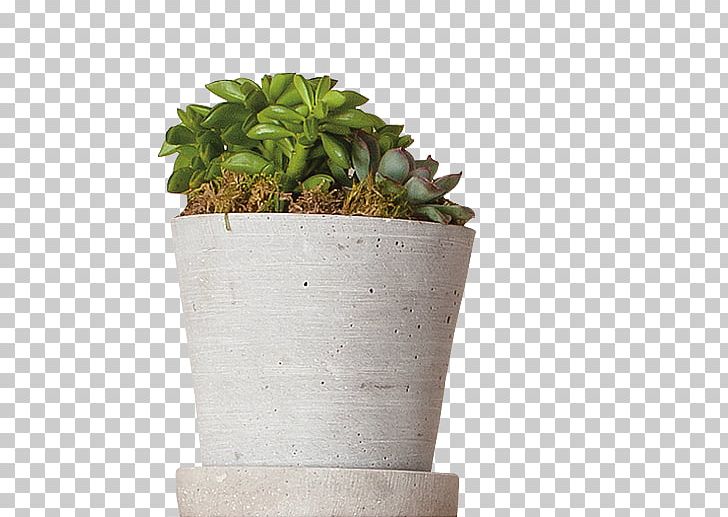 Home Automation Kits Lighting Flowerpot Houseplant PNG, Clipart, Computer Monitors, Discover Card, Entertainment, Flowerpot, Grass Free PNG Download