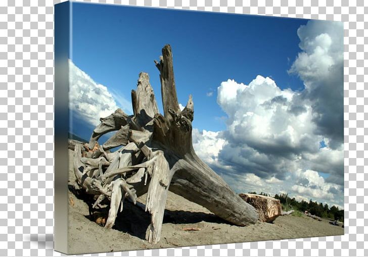 Statue Tree Memorial Stock Photography Driftwood PNG, Clipart, Driftwood, Landscape, Memorial, Monument, Nature Free PNG Download