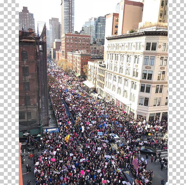 2017 Women's March Donald Trump 2017 Presidential Inauguration Protest Blind Pig President Of The United States PNG, Clipart,  Free PNG Download