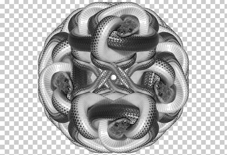 nickel black and white clipart snake