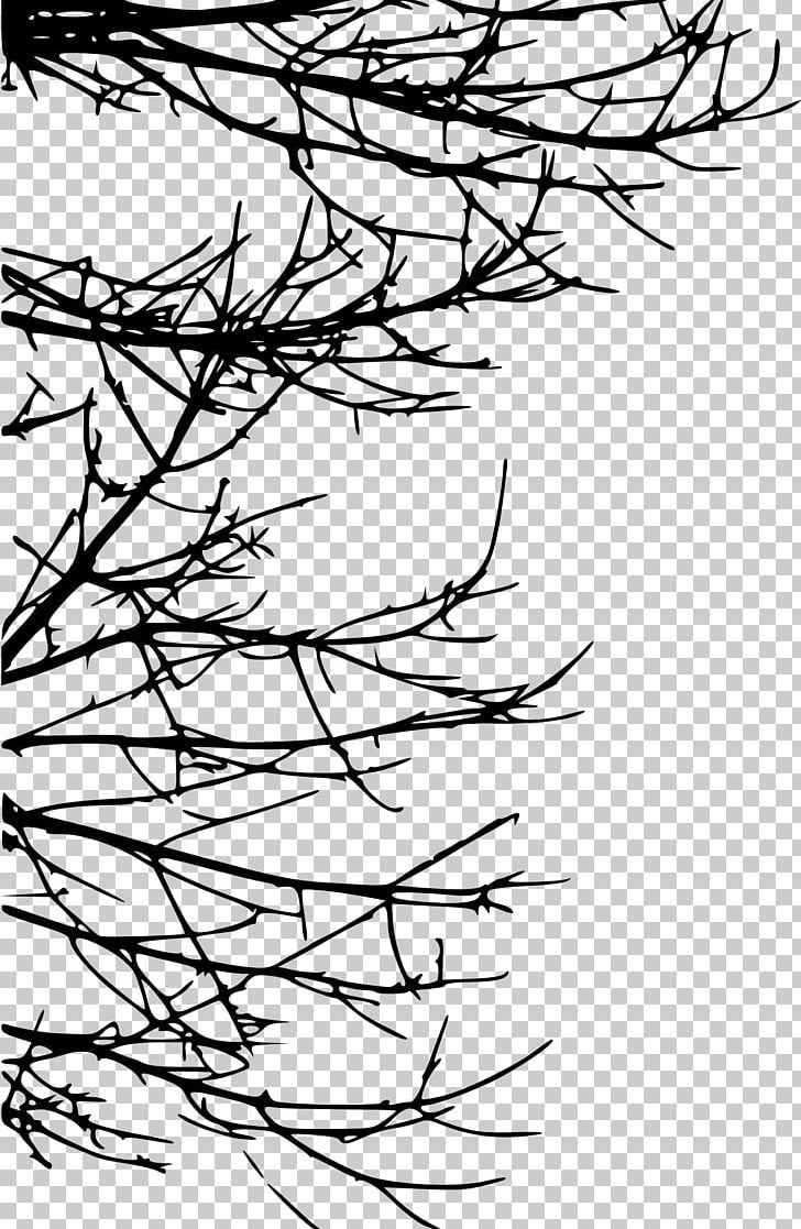 Branch Tree Twig Silhouette Drawing PNG, Clipart, Angle, Area, Artwork, Black, Black And White Free PNG Download