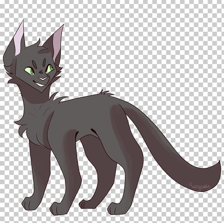 Kitten Whiskers Domestic Short-haired Cat Black Cat PNG, Clipart, Animals, Black Cat, Canidae, Carnivoran, Cartoon Free PNG Download