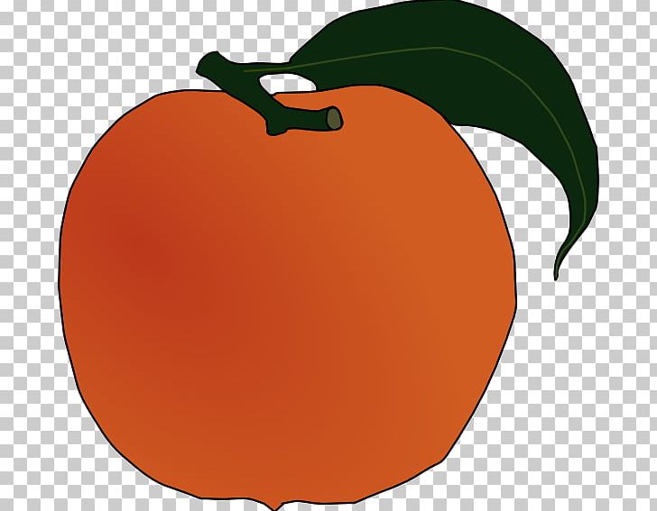 Peach Fruit PNG, Clipart, Apple, Computer Icons, Download, Flowering Plant, Food Free PNG Download