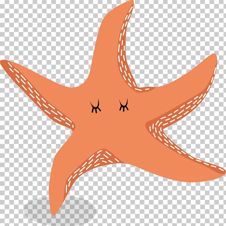 Starfish Euclidean PNG, Clipart, Adobe Illustrator, Animal, Animals, Cartoon, Encapsulated Postscript Free PNG Download