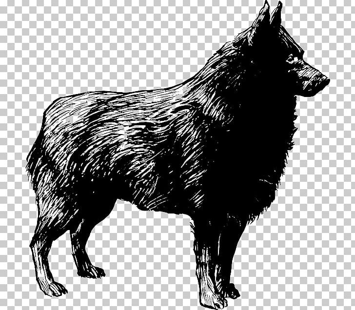 West Highland White Terrier Irish Wolfhound Dachshund Beagle PNG, Clipart, Animals, Bea, Black, Black And White, Carnivoran Free PNG Download