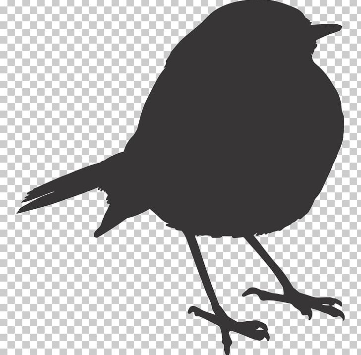 European Robin Bird Sparrow PNG, Clipart, American Robin, Animals, Beak, Bird, Black And White Free PNG Download
