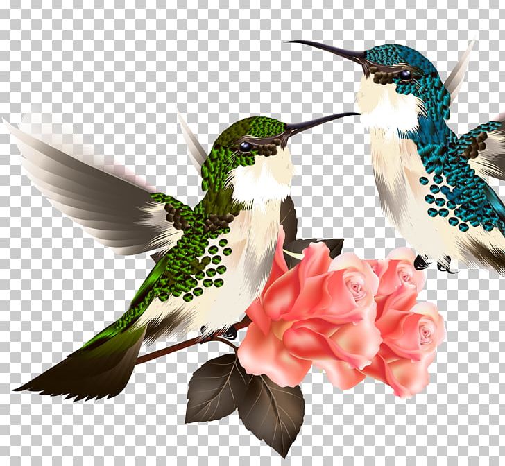 Hummingbird Drawing Illustration PNG, Clipart, Animal, Animals, Bird, Bird Cage, Bird Vector Free PNG Download