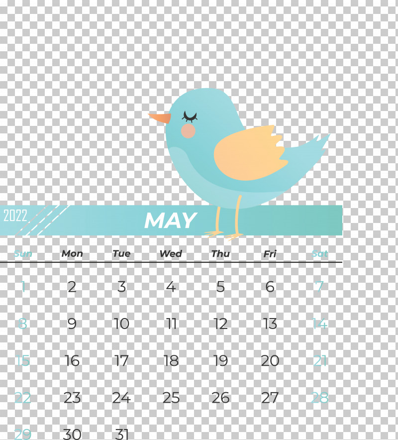 Birds Beak Logo Font Water Bird PNG, Clipart, Beak, Birds, Calendar, Logo, Teal Free PNG Download