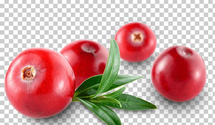 Cranberry Tomato Barbados Cherry Ingredient Food PNG, Clipart, Accessory Fruit, Acero, Acerola, Acne, Cherry Free PNG Download