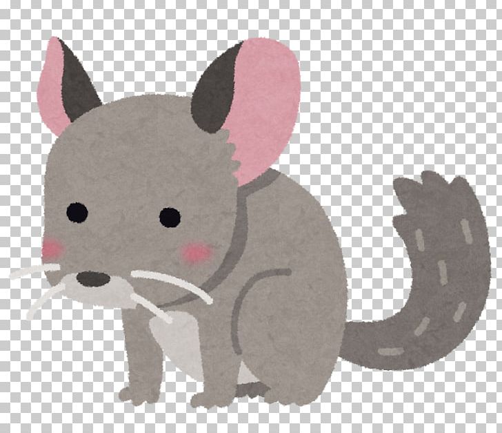 Long-tailed Chinchilla ネズミ Cat Whiskers Pet PNG, Clipart, Andes, Animal, Animals, Carnivoran, Cat Free PNG Download