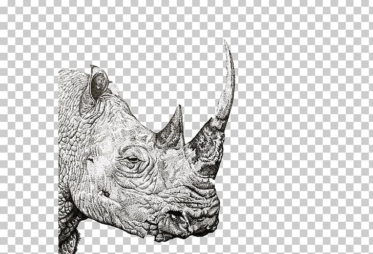Rhinoceros Reading Baidu Wangpan Pen Computer File PNG, Clipart, Animals, Design, Designer, Download, Draw Free PNG Download