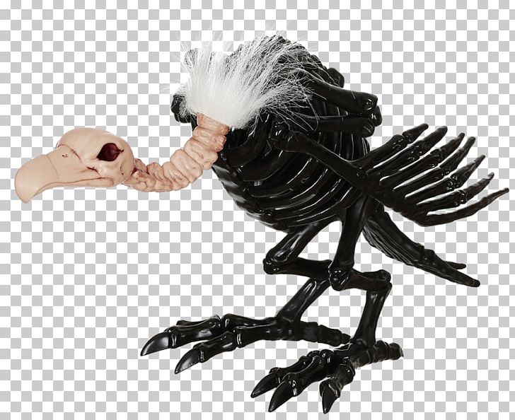 Skeleton Bearded Vulture Skull Bone PNG, Clipart,  Free PNG Download