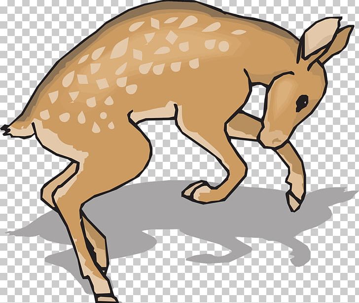 White-tailed Deer PNG, Clipart, Animals, Athletics Running, Cartoon, Cattle Like Mammal, Christmas Deer Free PNG Download