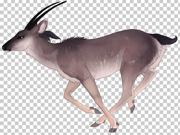 Deer Graphics Gemsbok Watercolor Painting PNG, Clipart, Alika, Animal Figure, Animals, Antelope, Antler Free PNG Download