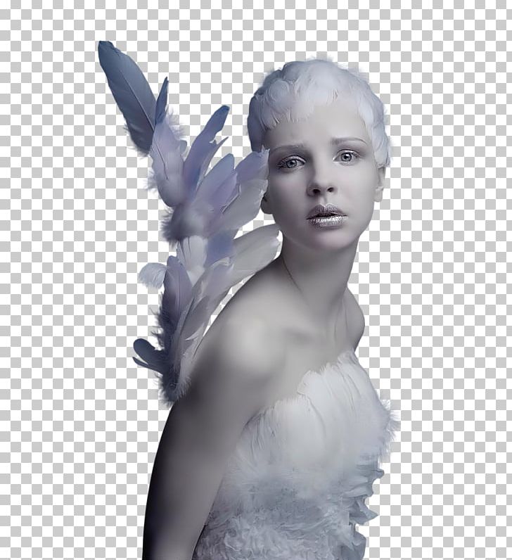 .net Maryse Ouellet .de Animation PNG, Clipart, Angel, Animation, Blog, Com, Feather Free PNG Download