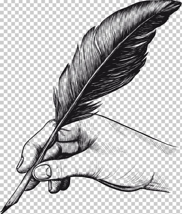 Quill Pens Feather Drawing PNG, Clipart, Animals, Ballpoint Pen, Beak, Bird, Black And White Free PNG Download