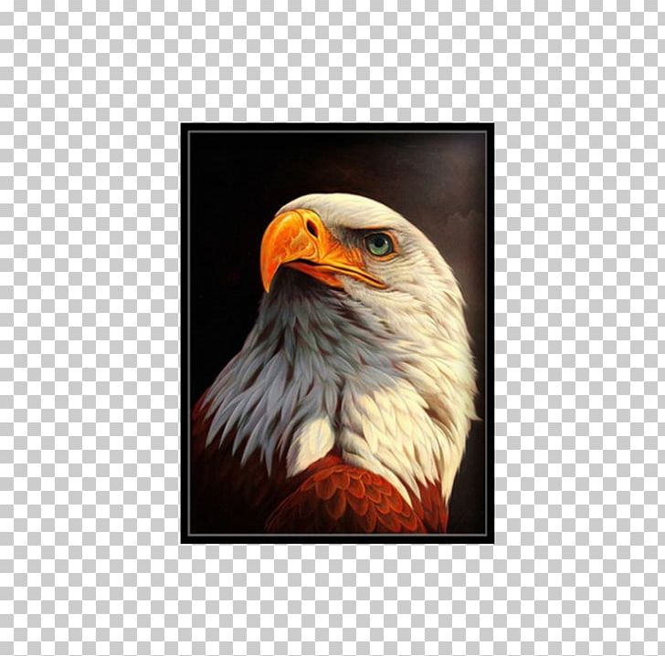 Oryol Painting Rhinestone Art PNG, Clipart, Animal, Animal Painting, Animals, Bald Eagle, Bird Free PNG Download