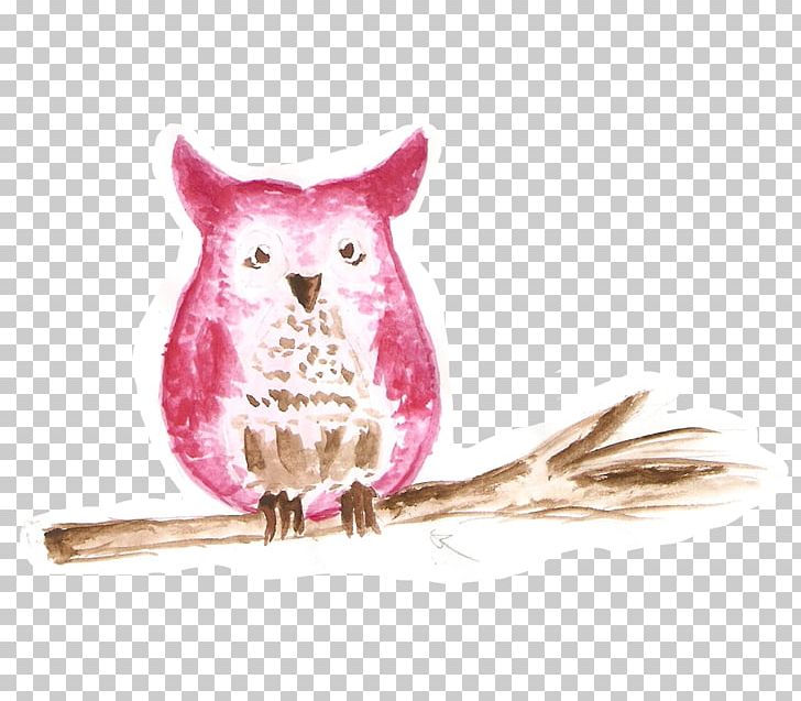 Owl Feather Beak Colored Pencil PNG, Clipart, Beak, Colored Pencil, Feather, Owl Free PNG Download