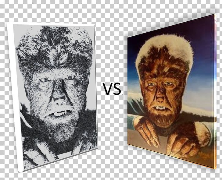 Art The Wolf Man Universal Horror Film Series PNG, Clipart, Art, Head, Others, Phish, Wolf Man Free PNG Download