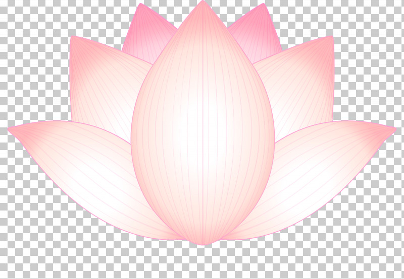 Lotus Flower PNG, Clipart, Aquatic Plant, Flower, Lighting, Lotus, Lotus Family Free PNG Download