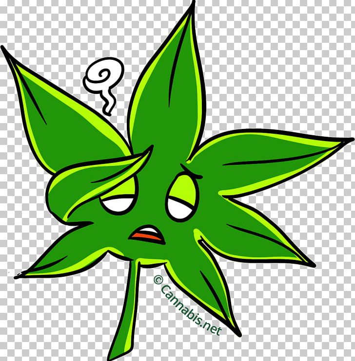 Cannabis Tea Cannabis Cup Marijuana Leaf PNG, Clipart, Area, Artwork, Blunt, Canna, Cannabis Free PNG Download