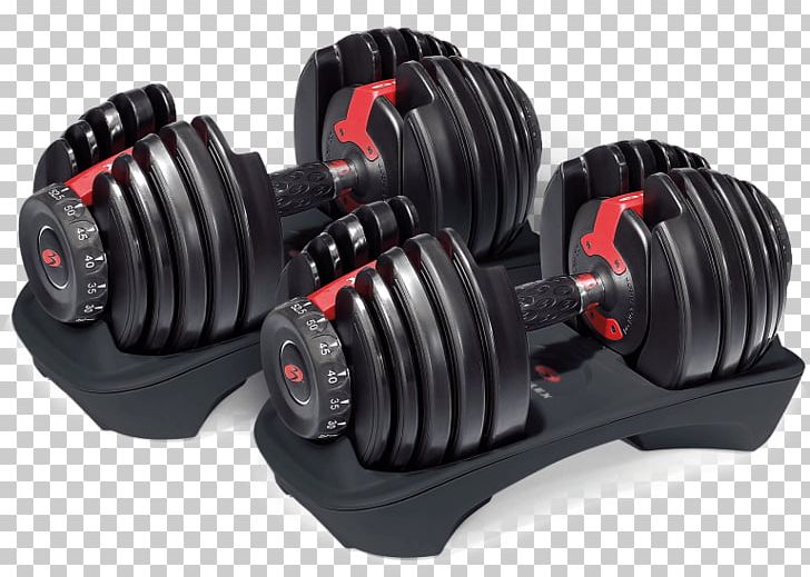 Dumbbell Bowflex Bench Exercise Equipment Weight Training PNG, Clipart, Automotive Tire, Bench, Bowflex, Dumbbell, Exercise Free PNG Download