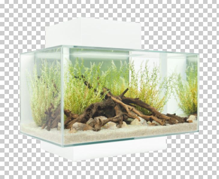 Fluval Edge Light-emitting Diode Aquarium LED Lamp PNG, Clipart, Aquarium, Aquarium Decor, Aquatic Plants, Edge, Fauna Free PNG Download