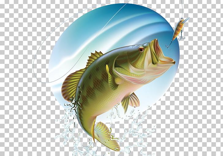 Largemouth Bass Bass Fishing PNG, Clipart, Bass, Bass Fishing, Bite, Bony  Fish, Catch Free PNG Download