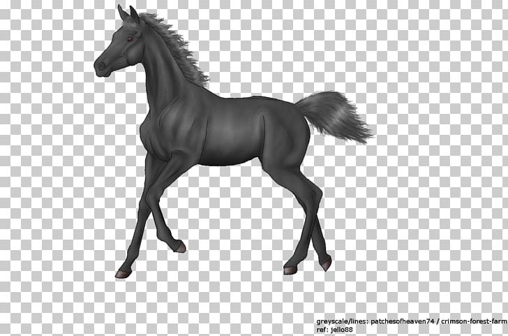 Mustang Foal Stallion Colt Mare PNG, Clipart, Animal Figure, Black And White, Bridle, Colt, Foal Free PNG Download