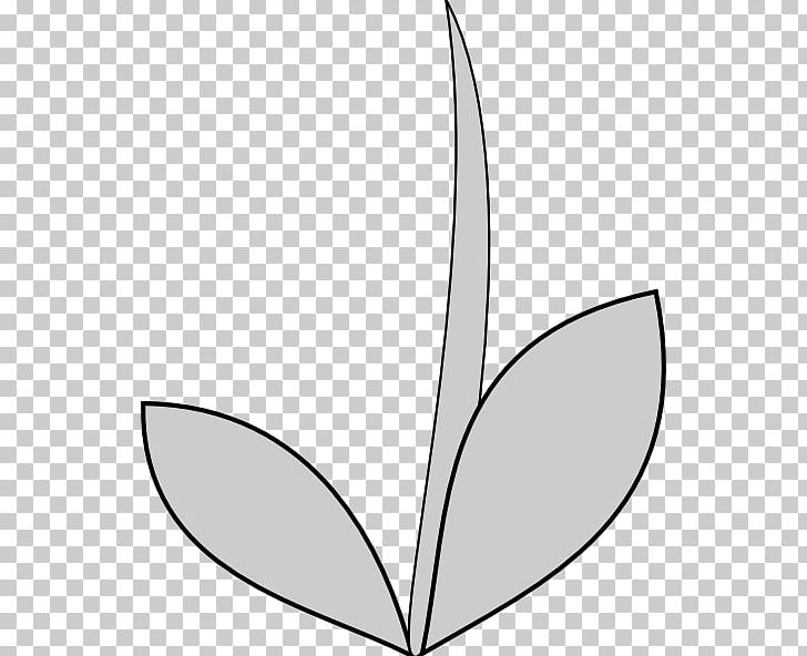 Flower Plant Stem Petal PNG, Clipart, Angle, Area, Artwork, Black And White, Blog Free PNG Download