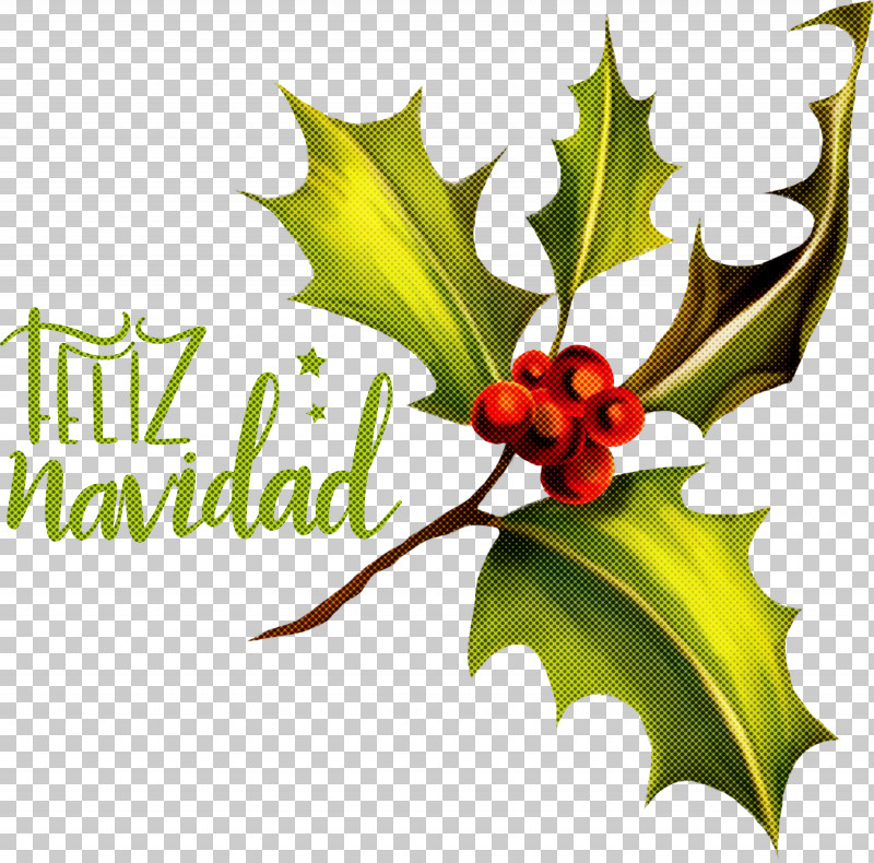 Feliz Navidad Merry Christmas PNG, Clipart, Aquifoliales, Christmas Plants, Common Holly, Feliz Navidad, Holly Free PNG Download