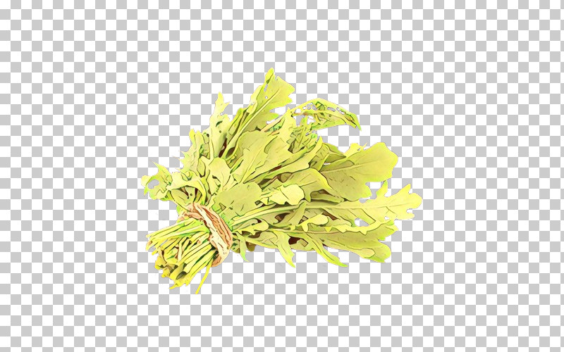 Yellow Plant Flower Leaf Herb PNG, Clipart, Flower, Herb, Leaf, Plant, Yellow Free PNG Download