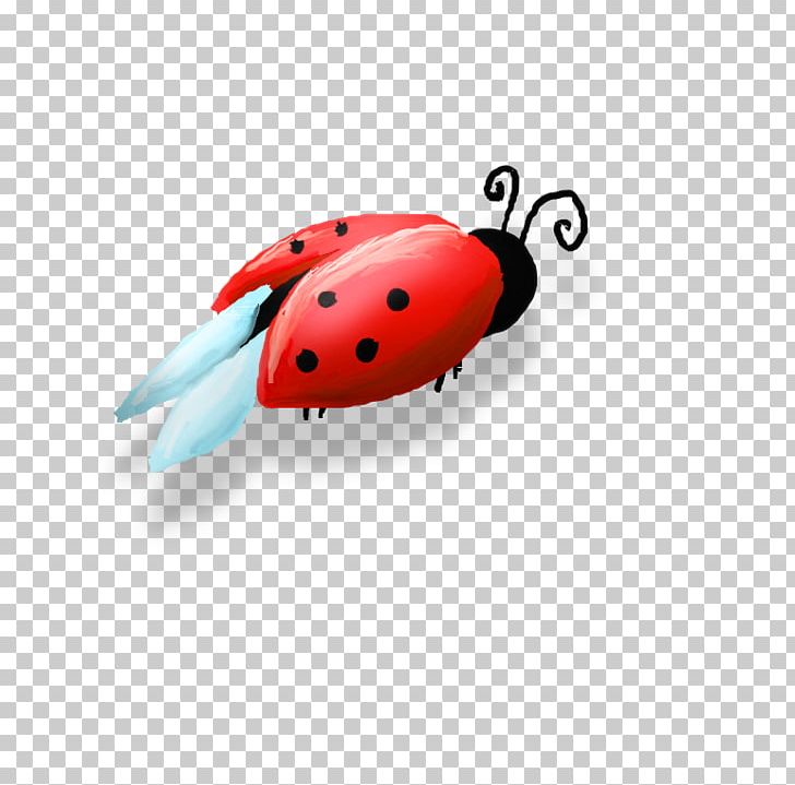 Beetle Ladybird Coccinella Septempunctata Beneficial Insects PNG, Clipart, Animals, Aphid, Beetle, Beneficial Insects, Beneficial Organism Free PNG Download