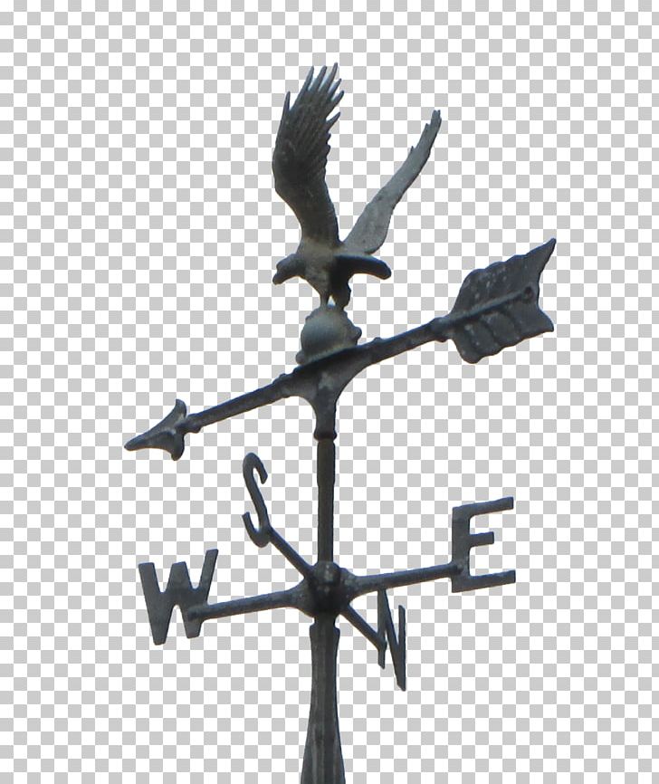 Bird Of Prey Symbol PNG, Clipart, Bird, Bird Of Prey, Symbol, Tree, Weather Vane Free PNG Download