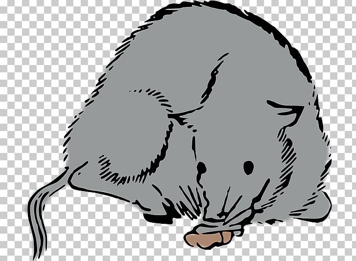 Rat Mouse Whiskers Cat PNG, Clipart, Animals, Artwork, Beak, Beaver, Black And White Free PNG Download