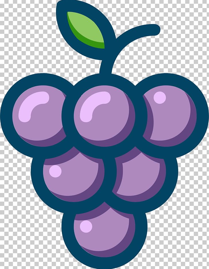 Common Grape Vine Wine PNG, Clipart, Circle, Common Grape Vine, Computer Icons, Flower, Fruit Free PNG Download