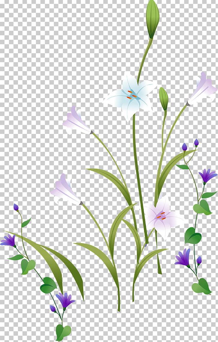 Petal Bellflower Meadow Floral Design Leaf PNG, Clipart, Bellflower, Bellflower Family, Bells, Branch, Chai Free PNG Download